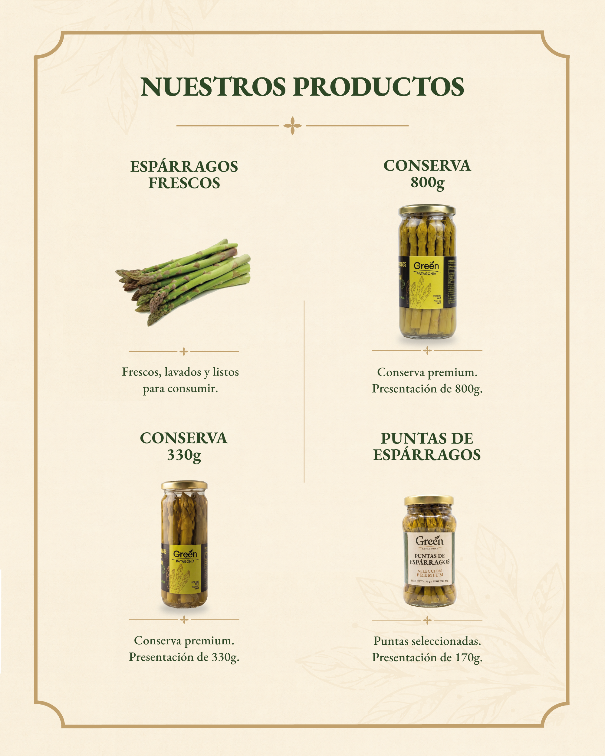 Catálogo de productos Green Patagonia: espárragos frescos, conserva 330 g, conserva 800 g y puntas de espárragos.
