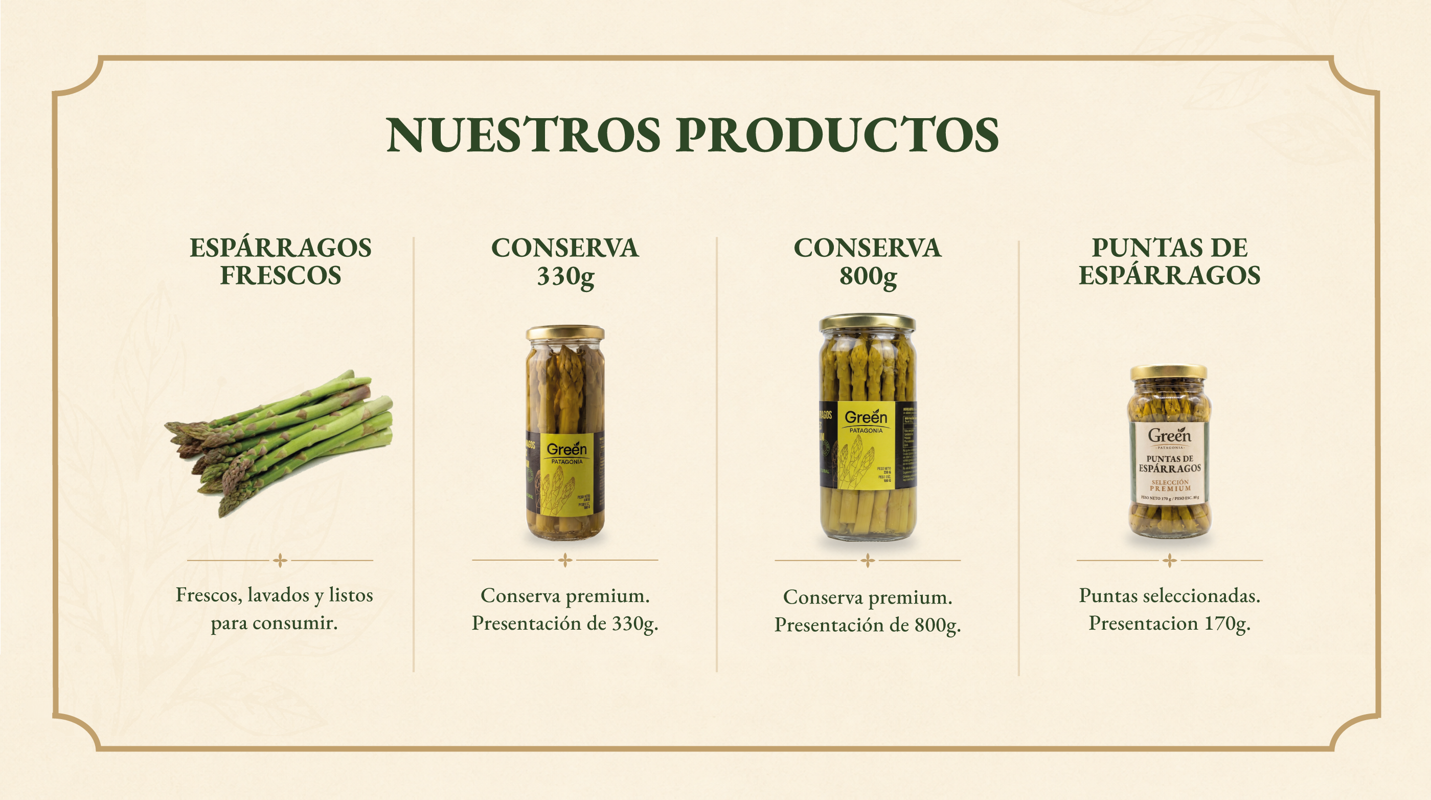 Catálogo de productos Green Patagonia: espárragos frescos, conserva 330 g, conserva 800 g y puntas de espárragos.