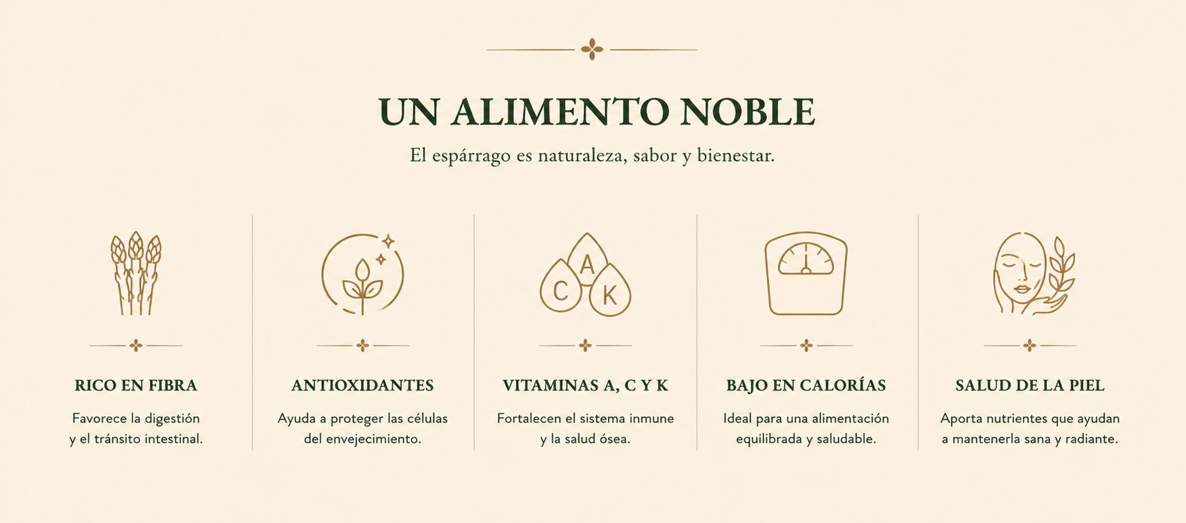 Beneficios del espárrago: rico en fibra, antioxidantes, vitaminas A, C y K, bajo en calorías y salud de la piel.