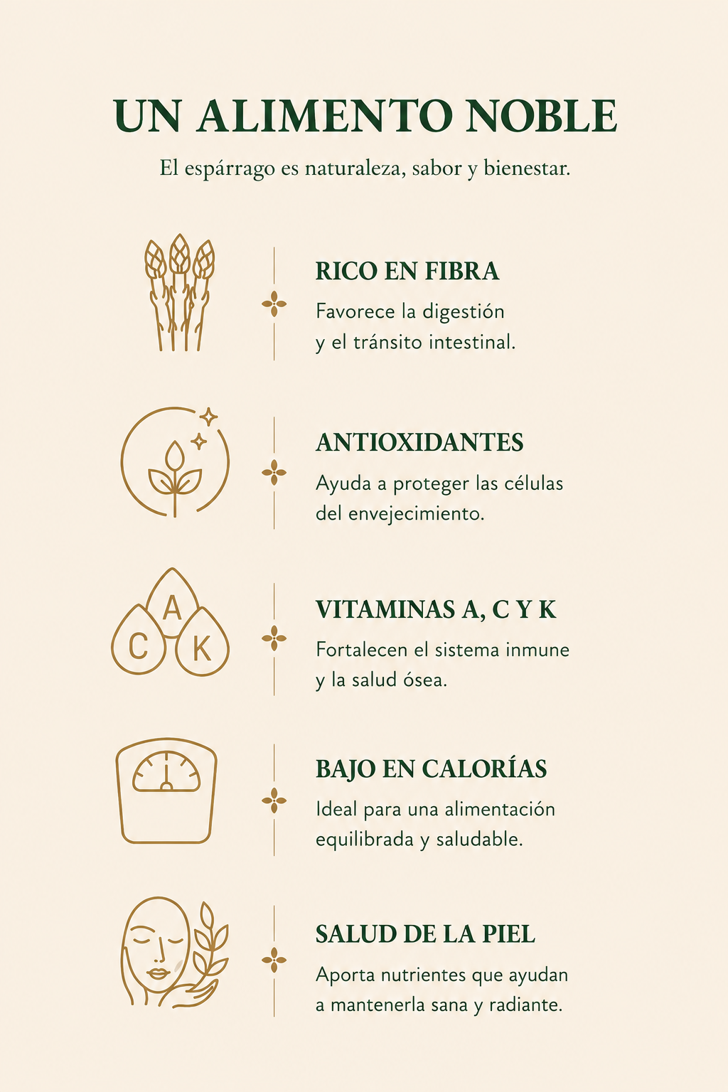Beneficios del espárrago: rico en fibra, antioxidantes, vitaminas A, C y K, bajo en calorías y salud de la piel.